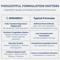 Magnesium Bisglycinate 500mg + Ashwagandha 300mg + L-Theanine 200mg - Stress | Calm | Cognition